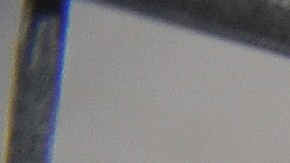 Arrestan a 14 miembros de una red de ladrones que robó $20 millones de dólares en tiendas de Florida