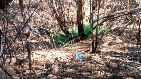 Fosas clandestinas en México