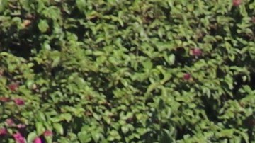 El centro comercial Citadel cada vez es más cuidado debido a los robos masivos.