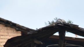 Mujeres indígenas son las más vulnerables a la violencia.