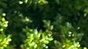 Alfred (Al) Labrada, veterano del LAPD y su abogado Jeremy Tissot. (Araceli Martínez/La Opinión)