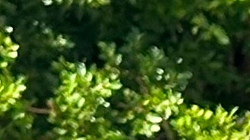 Alfred (Al) Labrada, veterano del LAPD y su abogado Jeremy Tissot. (Araceli Martínez/La Opinión)