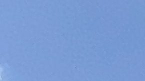 Consejes marcharon en el centro de Los Ángeles y denunciaron explotación laboral.