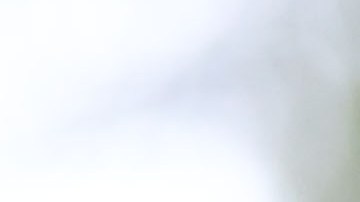 Sinha como parte del Toluca en México.