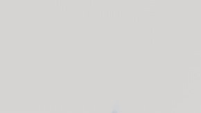 Nacho Ambriz (i) y Antonio Mohamed (d), dos grandes entrenadores en la Liga MX.