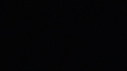 Alexis Vega está separado de la plantilla de las Chivas de Guadalajara.
