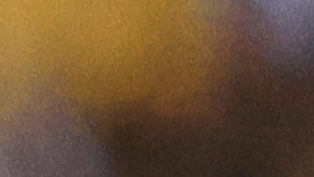 Robert Dante Siboldi dirigiendo a Tigres de la UANL.