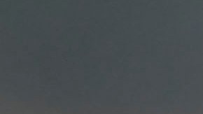 Antonio Mohamed durante el partido contra las Águilas.