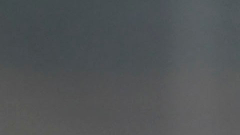 Antonio Mohamed durante el partido contra las Águilas.