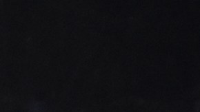 Paunovic está en un momento complicado con Chivas.