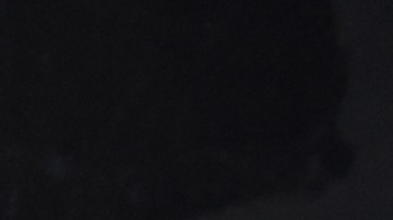 Paunovic está en un momento complicado con Chivas.