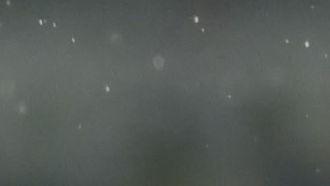 Jonathan Rodríguez celebra el cuarto gol de América en el juego contra Pachuca.