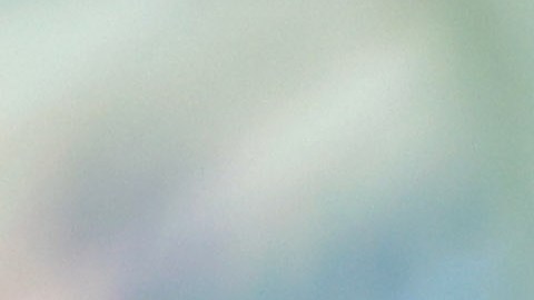 Veljko Paunovic disipó los rumores de una salida de Chivas.