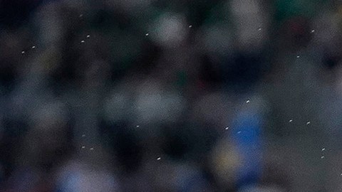 La selección de México ganó ante Ghana y empató ante Alemania.