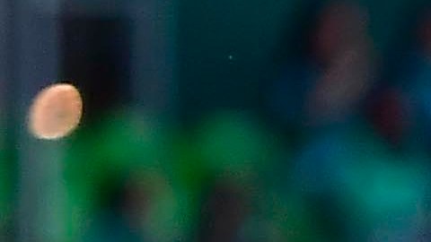 Polémico arbitraje durante el partido entre León y Toluca.