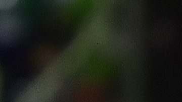 Ambriz llegó al equipo a principios de 2022.