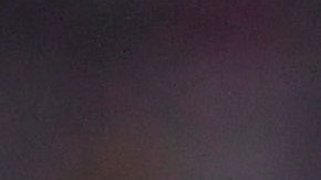 Tigres en celebración de gol contra las Chivas.