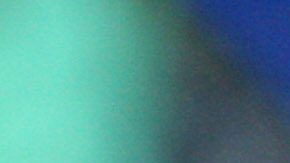 Diego Alonso celebra con los jugadores del Pachuca el campeonato de liga obtenido en el Clausura 2016.