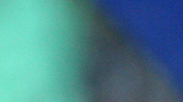 Diego Alonso celebra con los jugadores del Pachuca el campeonato de liga obtenido en el Clausura 2016.