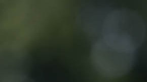 James Paul Lankford, senador por Oklahoma