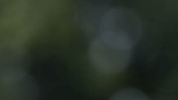 James Paul Lankford, senador por Oklahoma