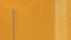 José Luis Rodríguez "El Puma", cantante venezolano.