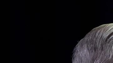 Lindsey Graham, senador por Carolina del Sur