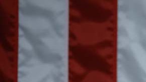 Mike Johnson, presidente de la Cámara de Representantes