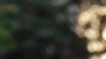 Luis Brandoni y Robert de Niro pasean por Buenos Aires en "Nada".