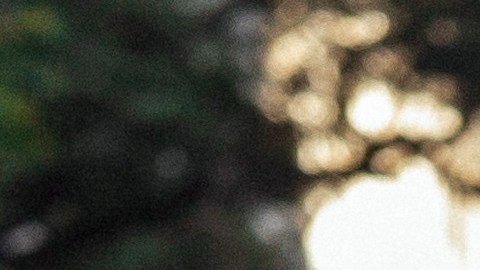 Luis Brandoni y Robert de Niro pasean por Buenos Aires en "Nada".