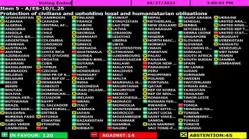Fueron 14 los países que se opusieron a exigir respeto a ley humanitaria en Gaza.