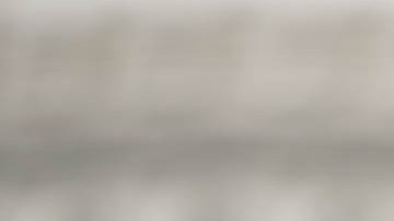 Rashida Tlaib, representante de Michigan