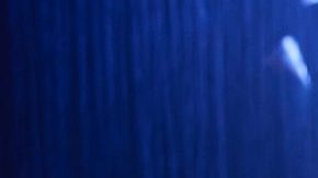 Shakira es la nueva imagen de Epson Latinoamérica.