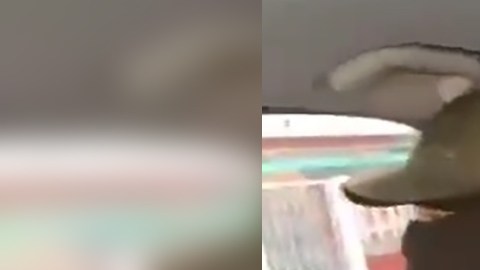 Sicarios en Veracruz