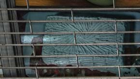 Los indigentes serán castigados en Miami Beach