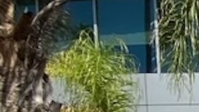 Forman trabajadores estudiantes de CSU un sindicato. (Cortesía)