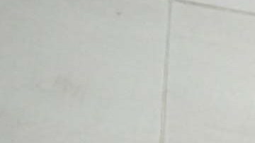 Steve Scalise, candidato a presidente de la Cámara de Representantes