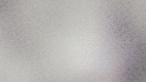 Cheque de estímulo