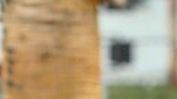 Tekashi 6ix9ine en Inglewood.