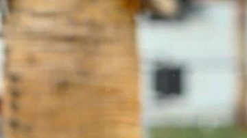 Tekashi 6ix9ine in Inglewood.