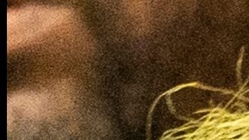 Tekashi 6ix9ine y Yailin la más viral, cantantes urbanos.