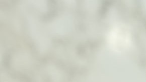 Thomas Bryant Cotton, senador por Arkansas