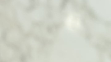 Thomas Bryant Cotton, senador por Arkansas