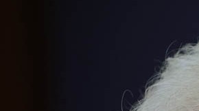 Virginia Foxx, representante de Carolina del Norte