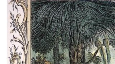 Cristóbal Colón usó un almanaque para predecir un eclipse lunar y logró engañar a los habitantes de Jamaica para que ayudaran a su tripulación.