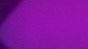 Arnold Schwarzenegger