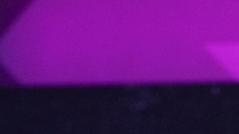 Arnold Schwarzenegger