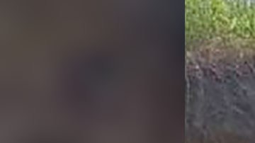 crematorio clandestino