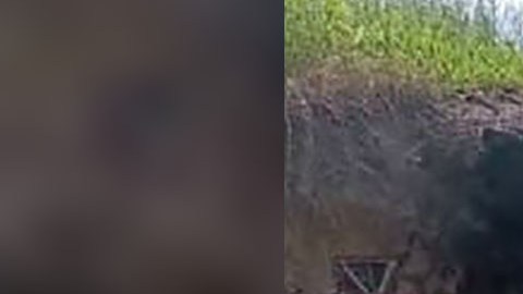 crematorio clandestino