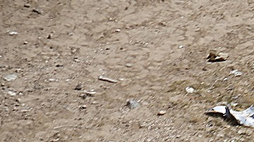 Inmigrantes viajan en el tren conocido como "La Bestia", el 29 de septiembre de 2023, en Ciudad Juárez.